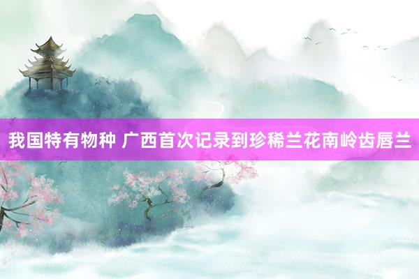 我国特有物种 广西首次记录到珍稀兰花南岭齿唇兰