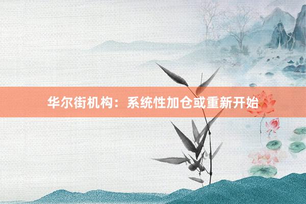 华尔街机构：系统性加仓或重新开始