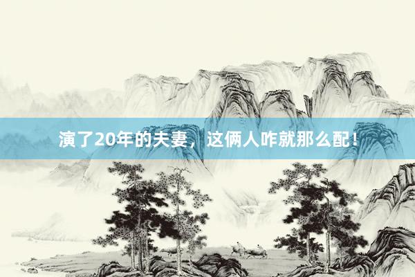 演了20年的夫妻，这俩人咋就那么配！