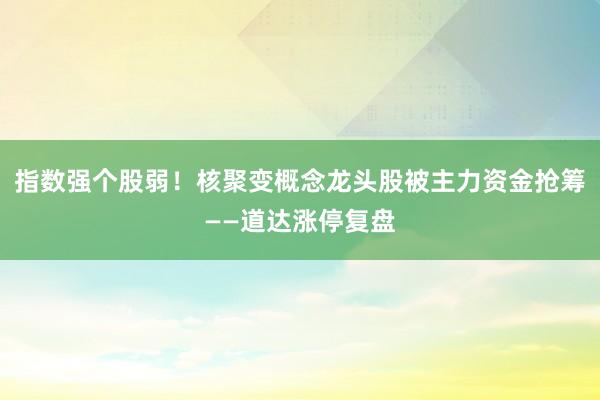 指数强个股弱！核聚变概念龙头股被主力资金抢筹——道达涨停复盘