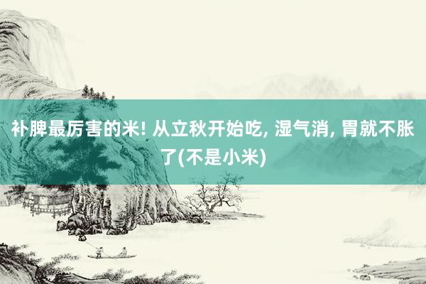 补脾最厉害的米! 从立秋开始吃, 湿气消, 胃就不胀了(不是小米)