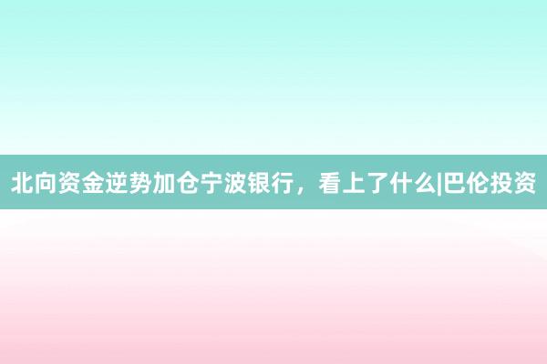 北向资金逆势加仓宁波银行，看上了什么|巴伦投资