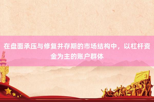 在盘面承压与修复并存期的市场结构中，以杠杆资金为主的账户群体