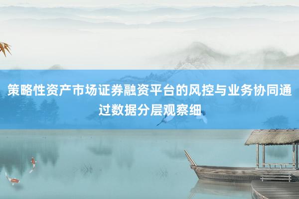 策略性资产市场证券融资平台的风控与业务协同通过数据分层观察细