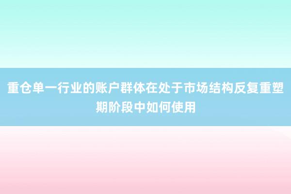 重仓单一行业的账户群体在处于市场结构反复重塑期阶段中如何使用
