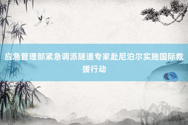 应急管理部紧急调派隧道专家赴尼泊尔实施国际救援行动