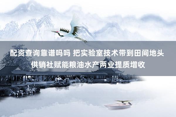 配资查询靠谱吗吗 把实验室技术带到田间地头 供销社赋能粮油水产两业提质增收