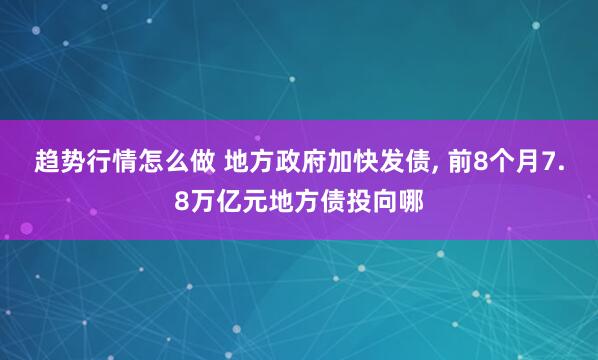 趋势行情怎么做 地方政府加快发债, 前8个月7.8万亿元地方债投向哪