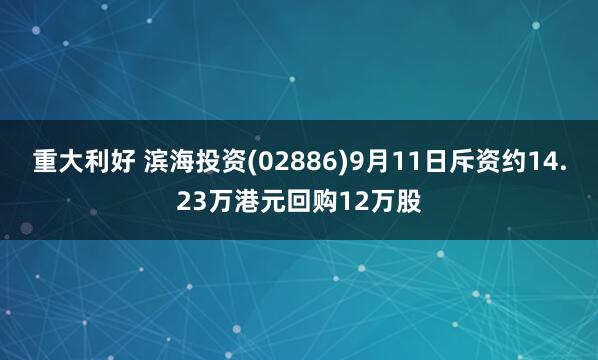 重大利好 滨海投资(02886)9月11日斥资约14.23万港元回购12万股