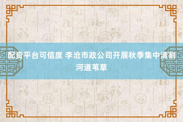 配资平台可信度 李沧市政公司开展秋季集中清割河道苇草