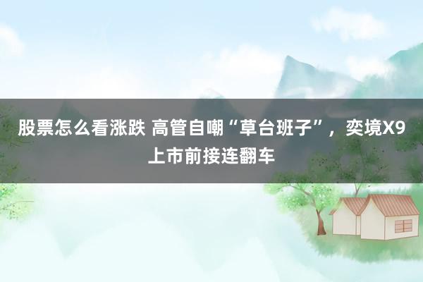 股票怎么看涨跌 高管自嘲“草台班子”，奕境X9上市前接连翻车