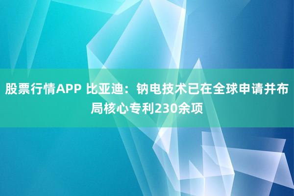 股票行情APP 比亚迪：钠电技术已在全球申请并布局核心专利230余项