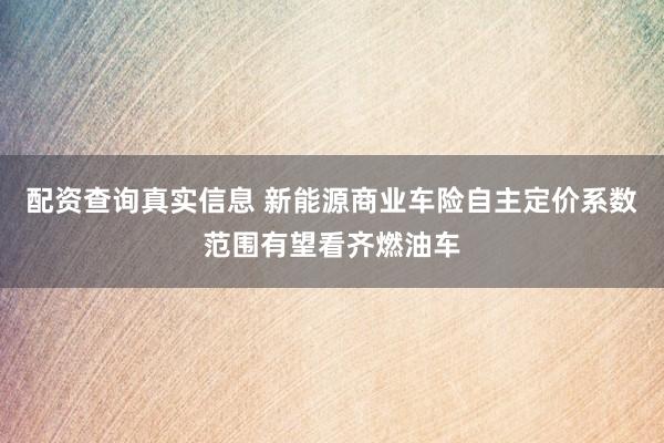 配资查询真实信息 新能源商业车险自主定价系数范围有望看齐燃油车