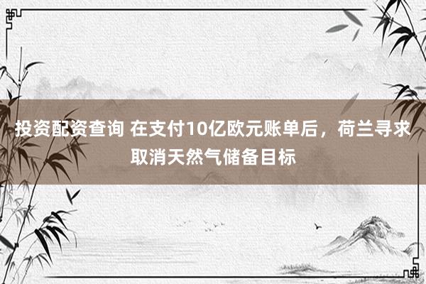 投资配资查询 在支付10亿欧元账单后，荷兰寻求取消天然气储备目标