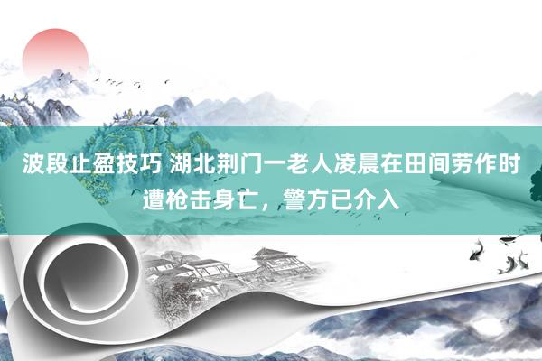 波段止盈技巧 湖北荆门一老人凌晨在田间劳作时遭枪击身亡，警方已介入